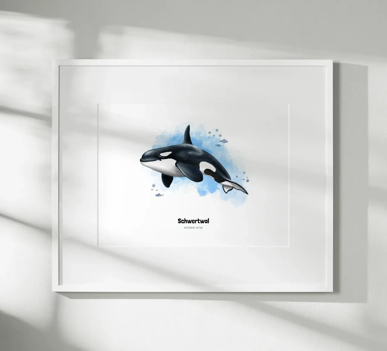 Schwertwal (Orca) - Acquerello poster da Moonlit Illustrations