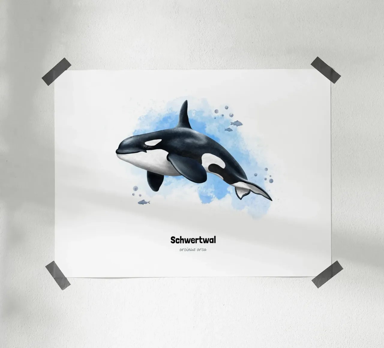 Schwertwal (Orca) - Acquerello poster da Moonlit Illustrations