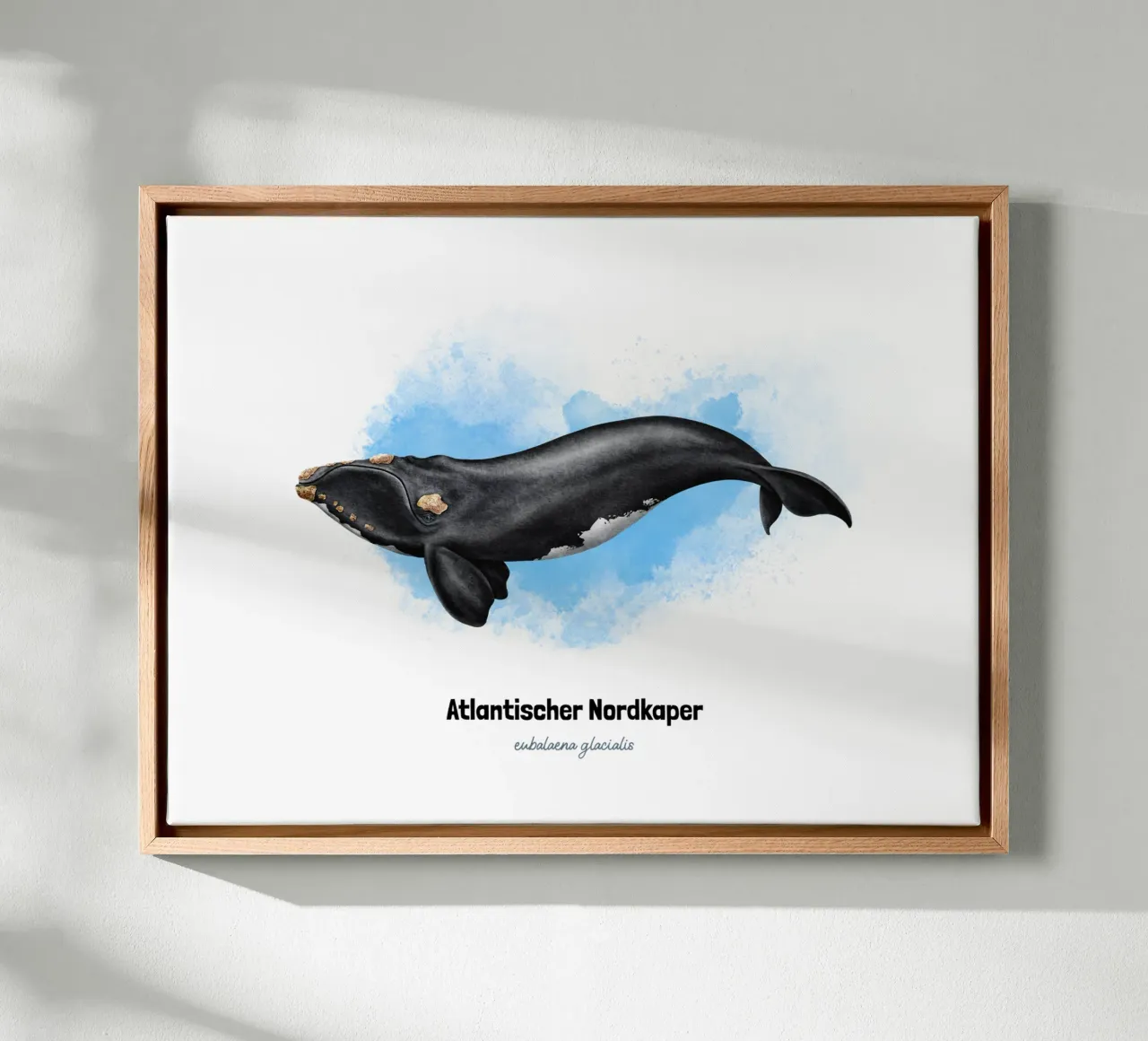 Gallo cedrone settentrionale - Acquerello tela con Cornice a cassetta da Moonlit Illustrations