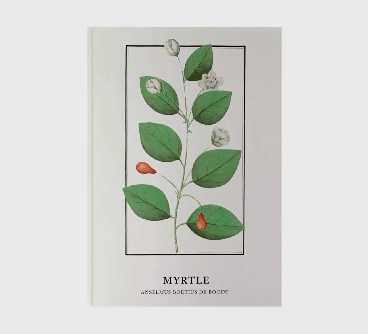 Anselmus Boëtius de Boodt - Myrtle notitieboek van Vintage by JUNIQE