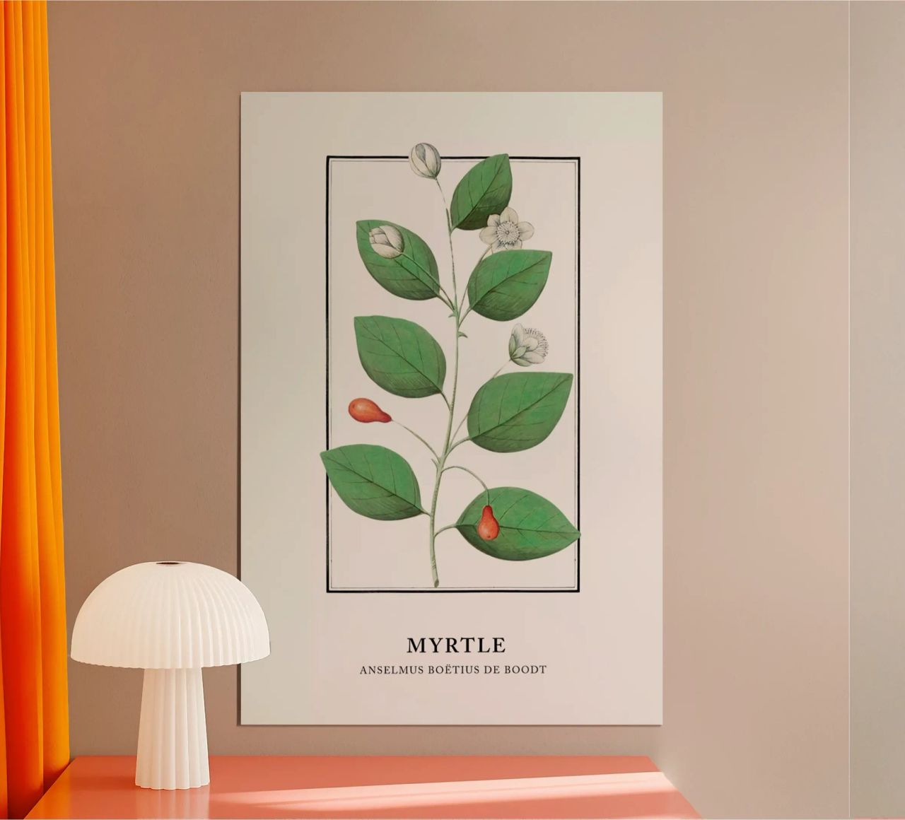 Anselmus Boëtius de Boodt - Myrtle poster by Vintage by JUNIQE