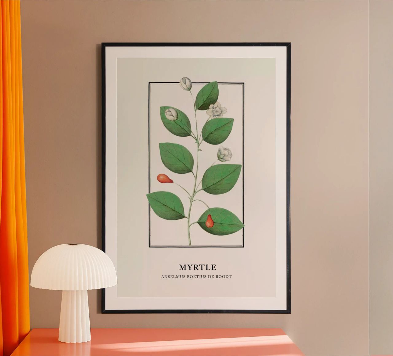 Anselmus Boëtius de Boodt - Myrtle poster by Vintage by JUNIQE
