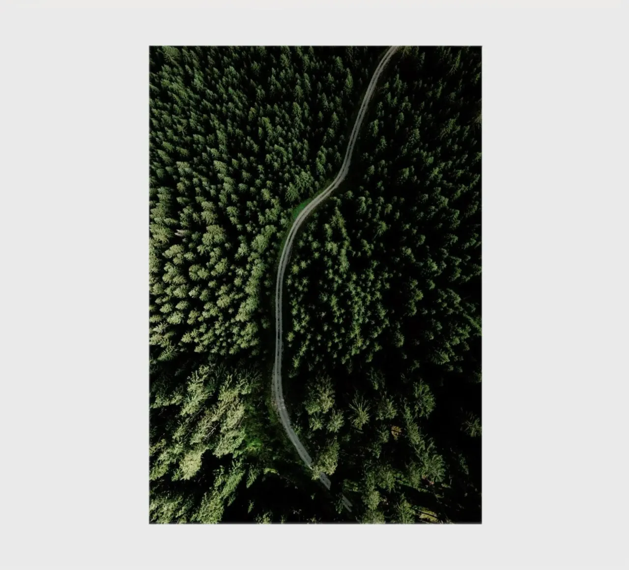 Street Through The Forest - Edition 2 notebook by Sebastian Hilgetag
