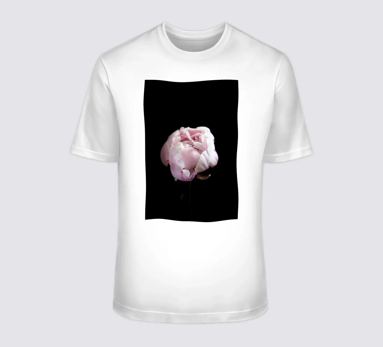 Rosa Centifolia t-shirt van Studio One