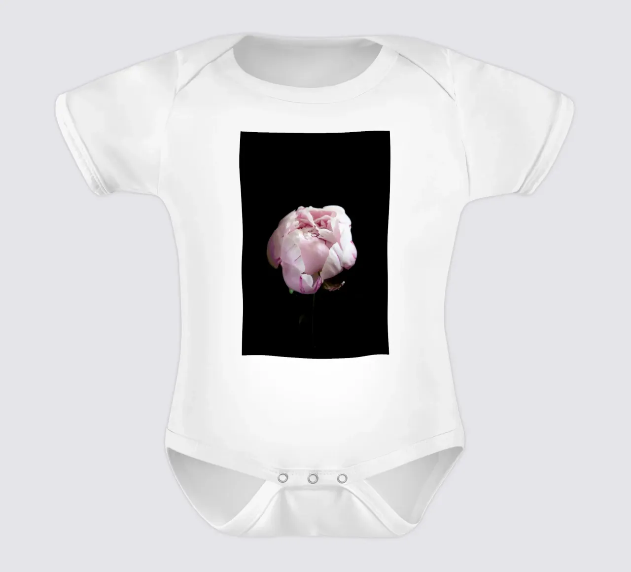 Rosa Centifolia short-sleeve baby romper by Studio One
