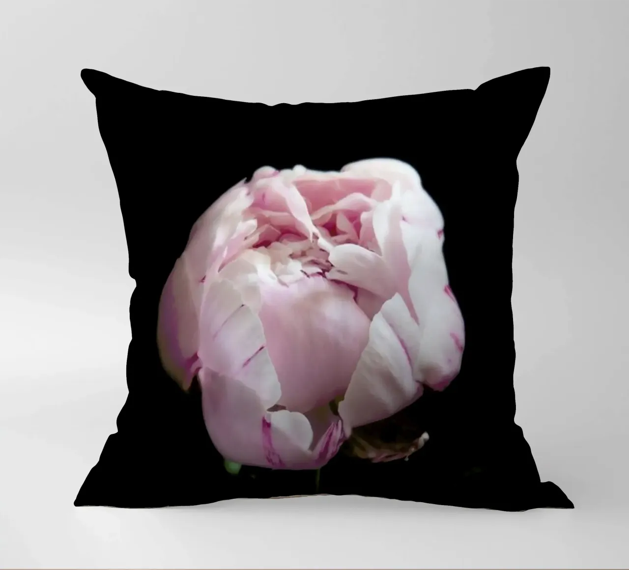 Rosa Centifolia decorative cushion by Studio One