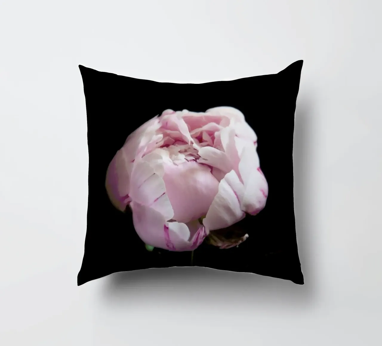 Rosa Centifolia decorative cushion by Studio One