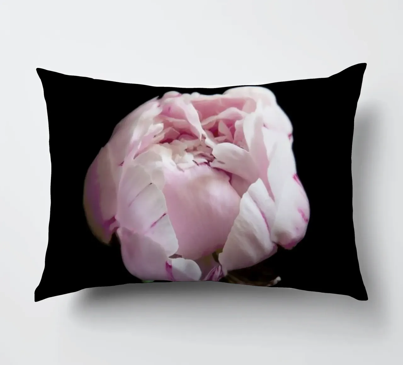 Rosa Centifolia decorative cushion by Studio One