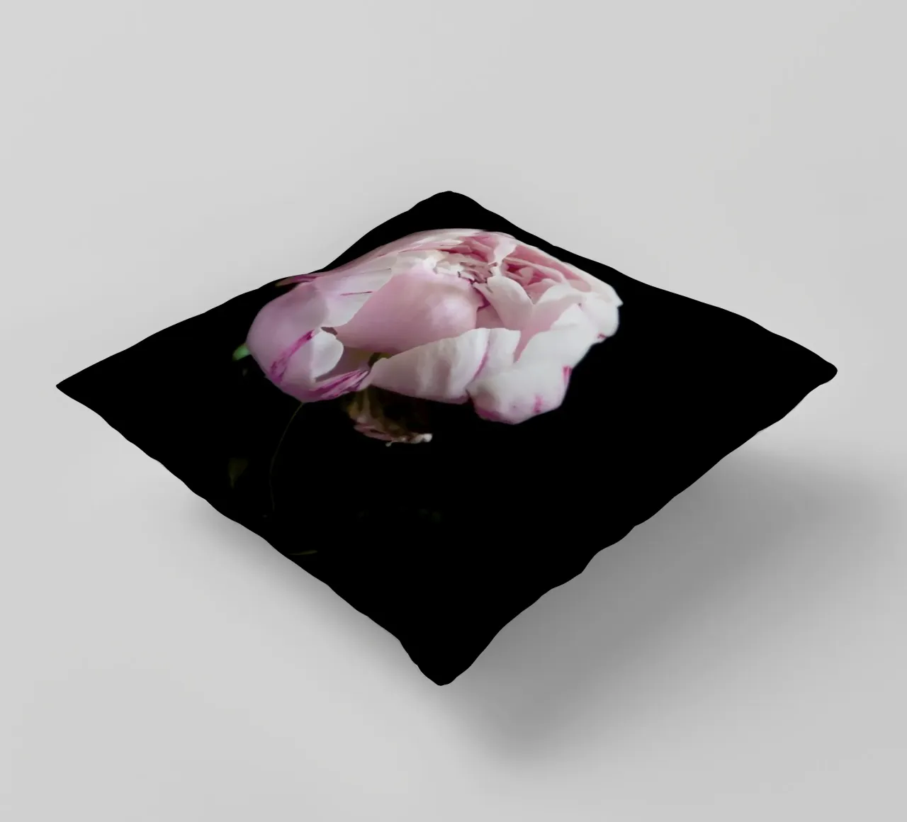Rosa Centifolia decorative cushion by Studio One