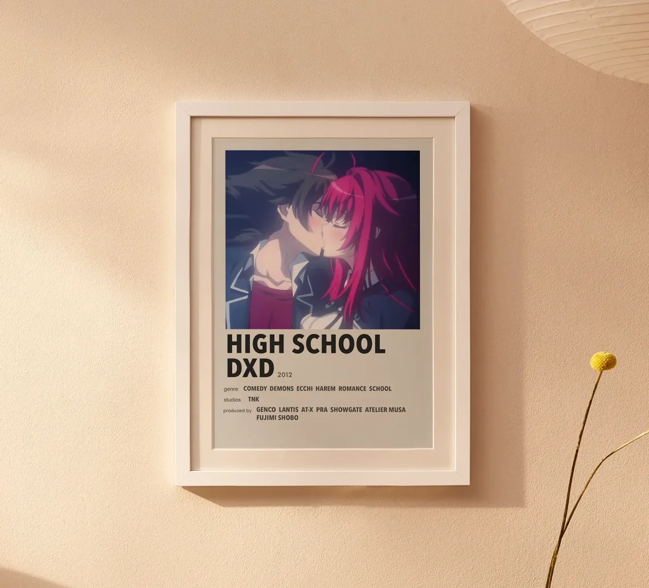 HIGH SCHOOL DXD  2012 poster con telaio in plastica da Totoya