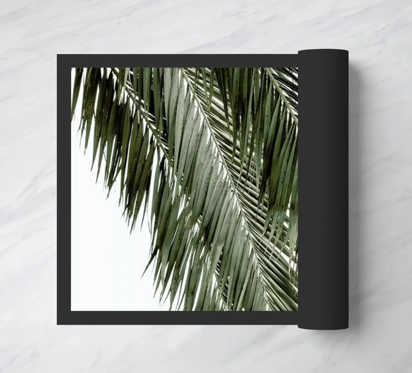 Palms zerbino da Victoria Frost