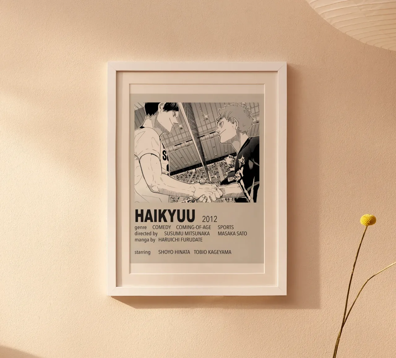 HAIKYUU!!  2012 poster con telaio in plastica da Totoya