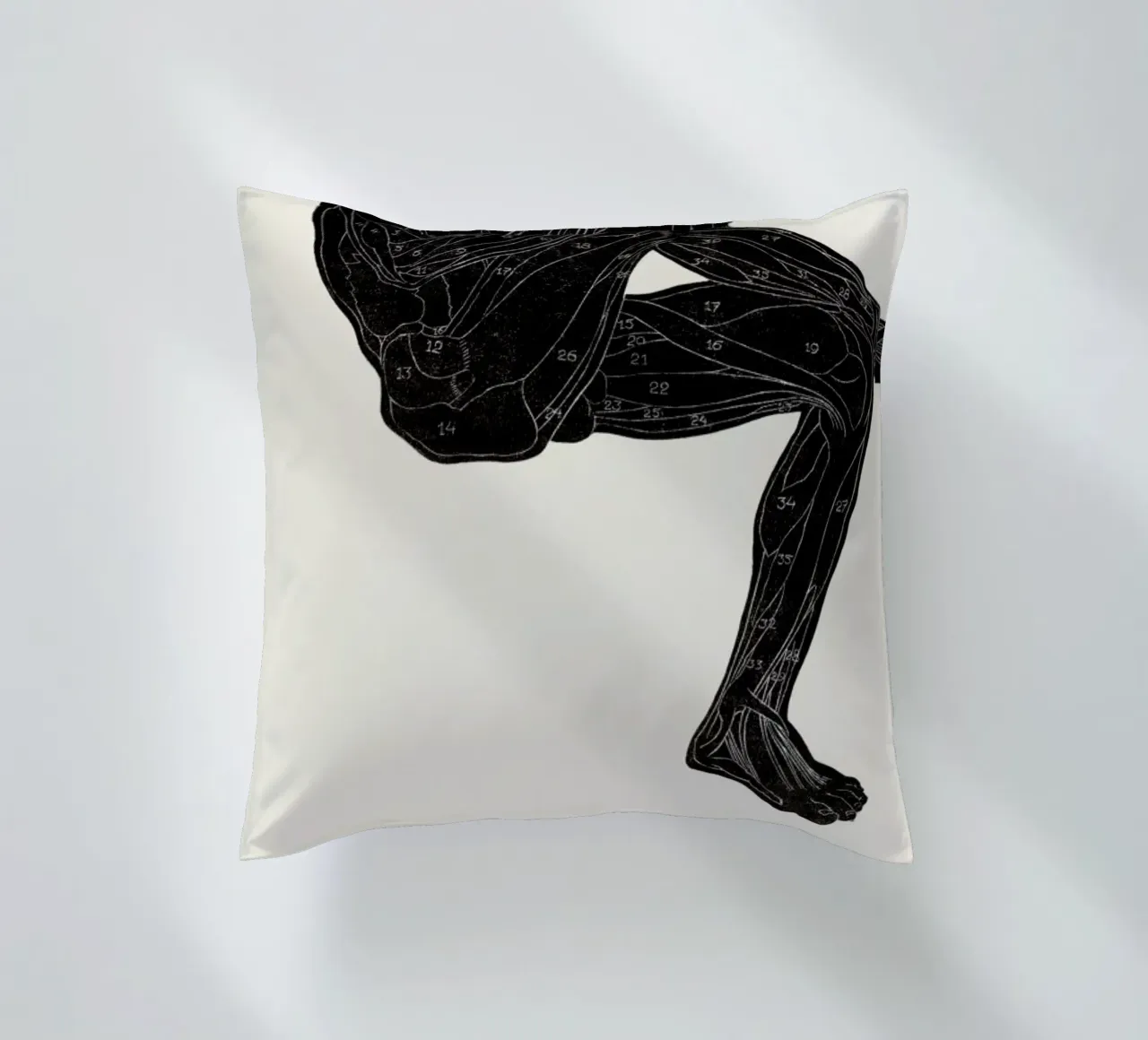 Stolk - Anatomical Study of a Man's Leg and Arm Muscles cuscino da Vintage by JUNIQE
