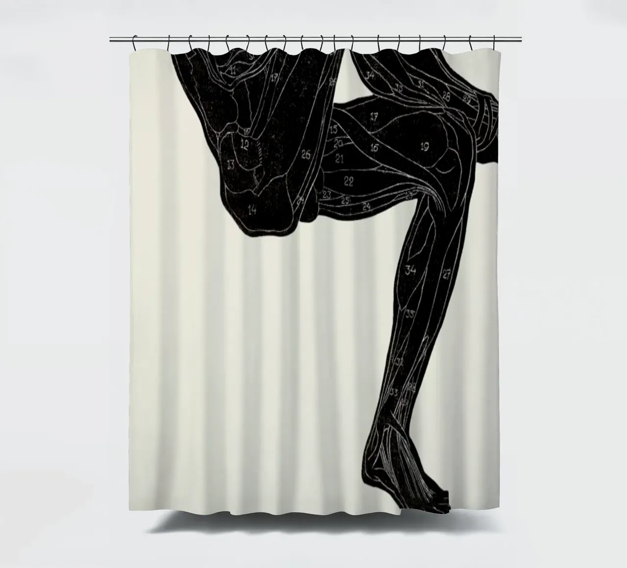 Stolk - Anatomical Study of a Man's Leg and Arm Muscles tenda da doccia da Vintage by JUNIQE