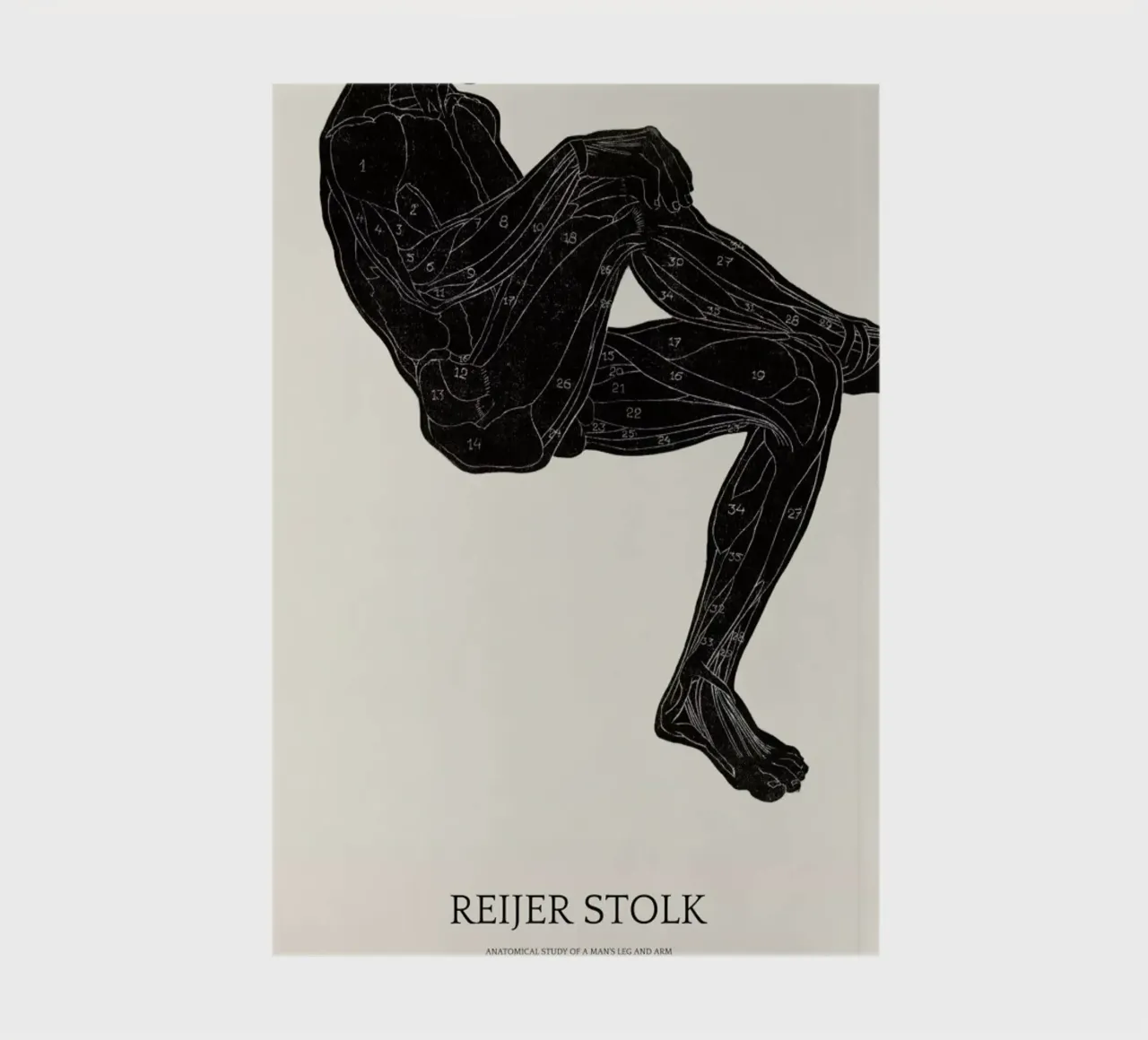 Stolk - Anatomical Study of a Man's Leg and Arm Muscles notebook by Vintage by JUNIQE