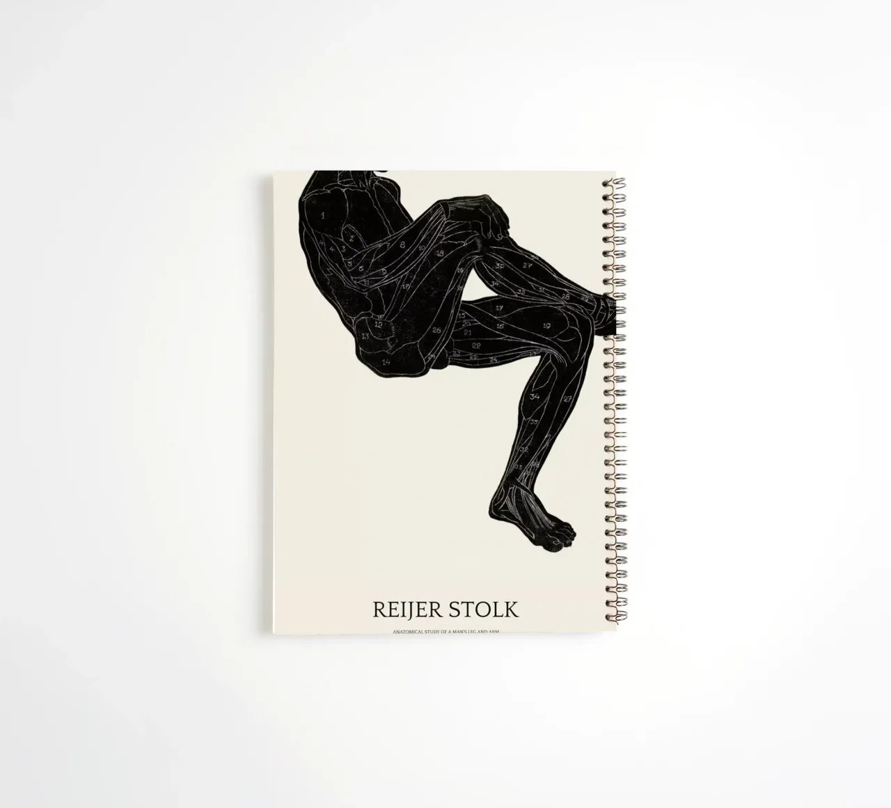 Stolk - Anatomical Study of a Man's Leg and Arm Muscles Ringbuch von Vintage by JUNIQE