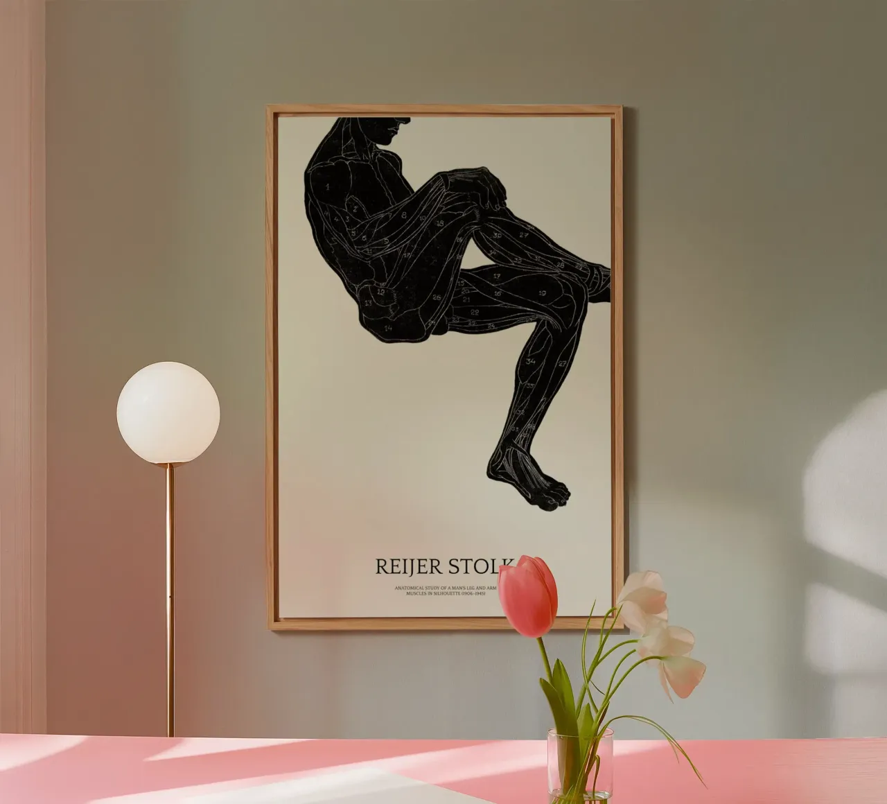 Stolk - Anatomical Study of a Man's Leg and Arm Muscles alluminio dibond da Vintage by JUNIQE