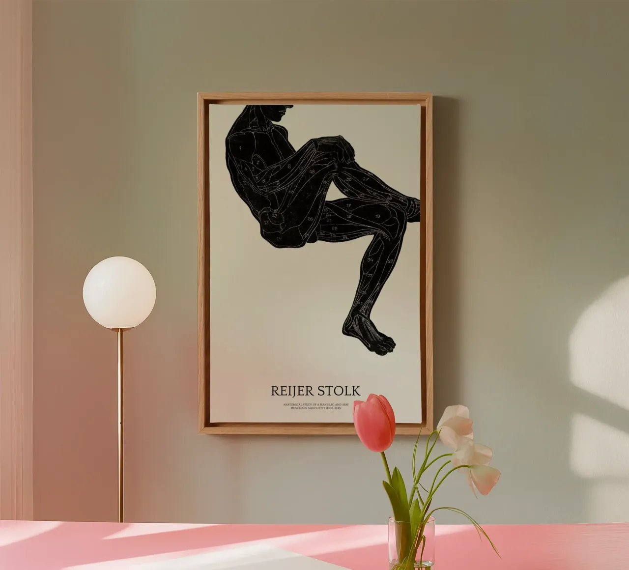 Stolk - Anatomical Study of a Man's Leg and Arm Muscles tela con Cornice a cassetta da Vintage by JUNIQE