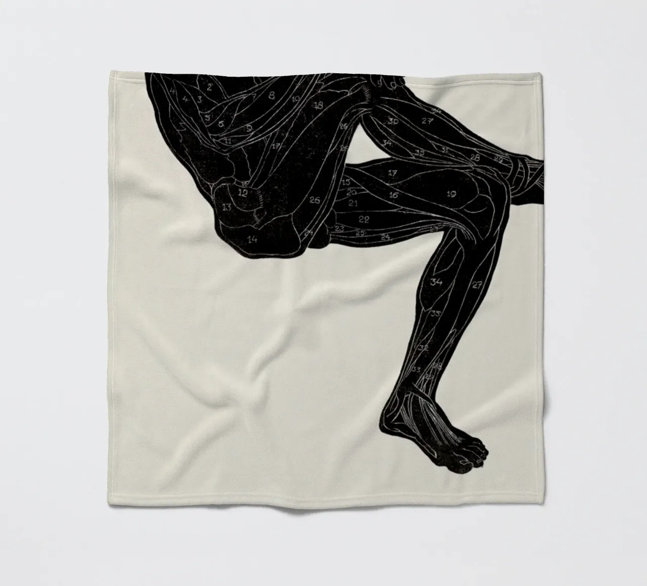 Stolk - Anatomical Study of a Man's Leg and Arm Muscles coperta in pile da Vintage by JUNIQE