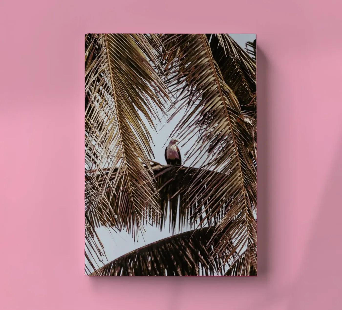 Eagle notebook by Victoria Frost