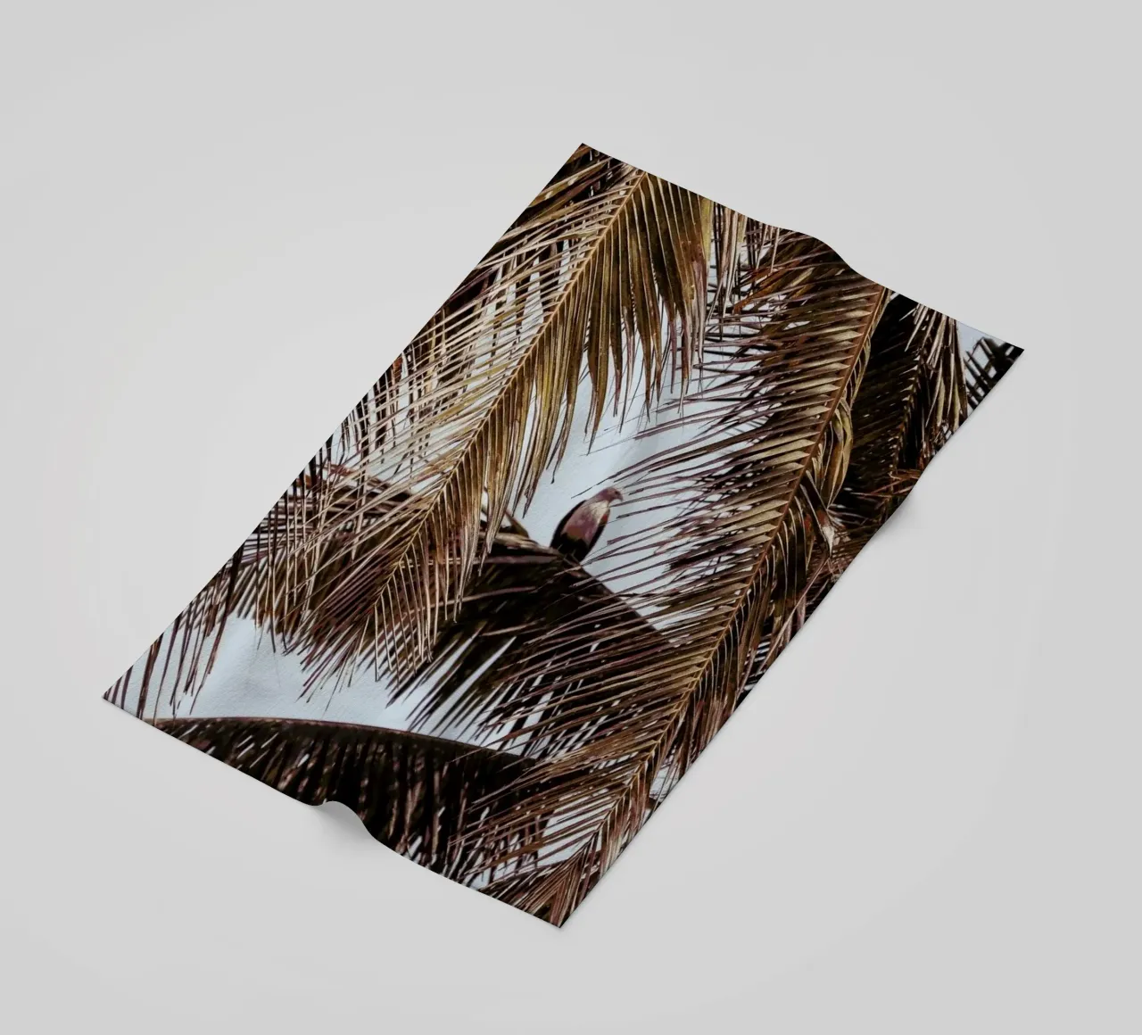 Eagle telo mare da Victoria Frost