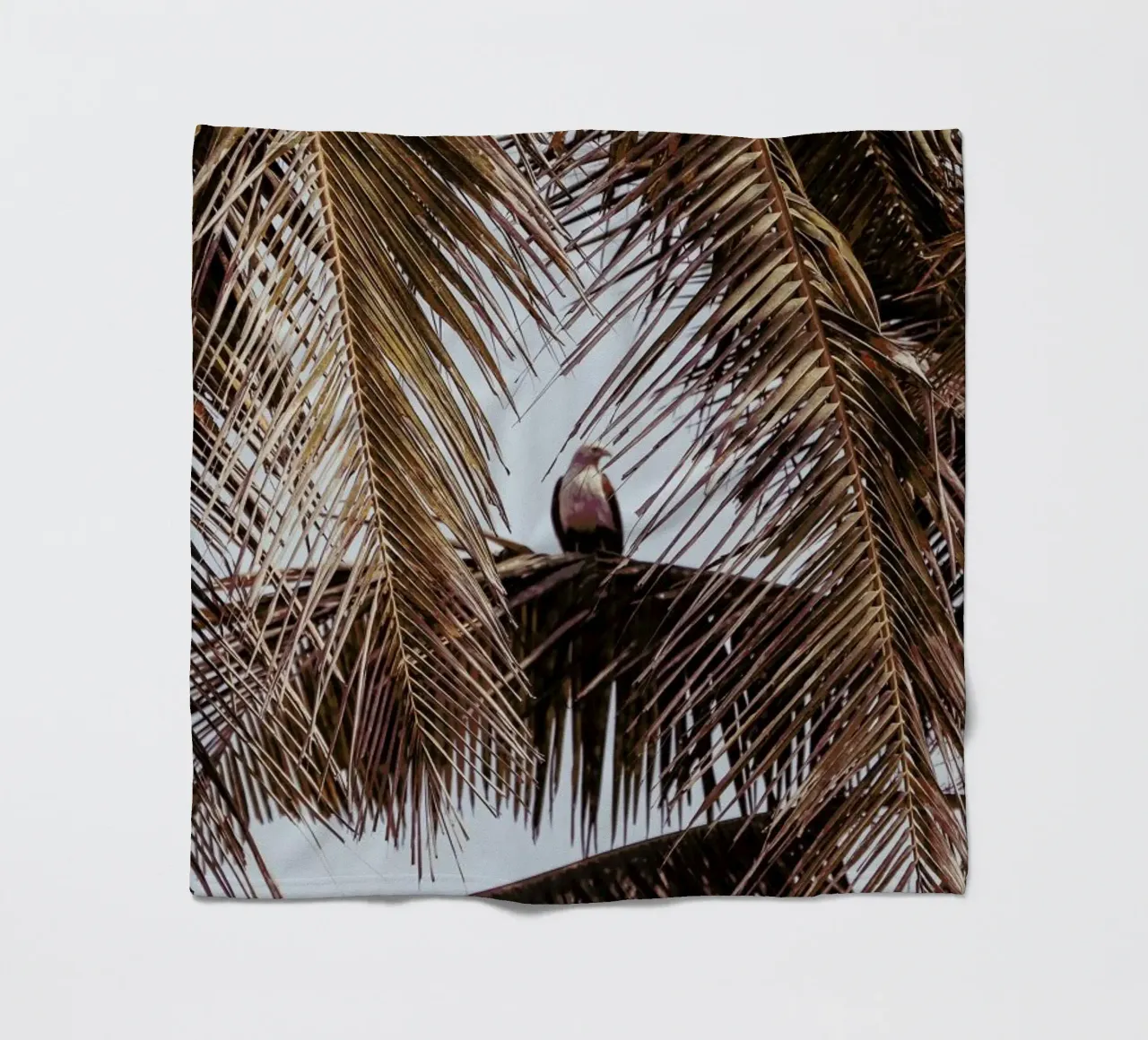 Eagle fleecedeken van Victoria Frost