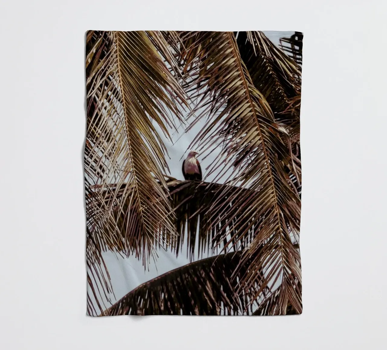 Eagle fleecedeken van Victoria Frost