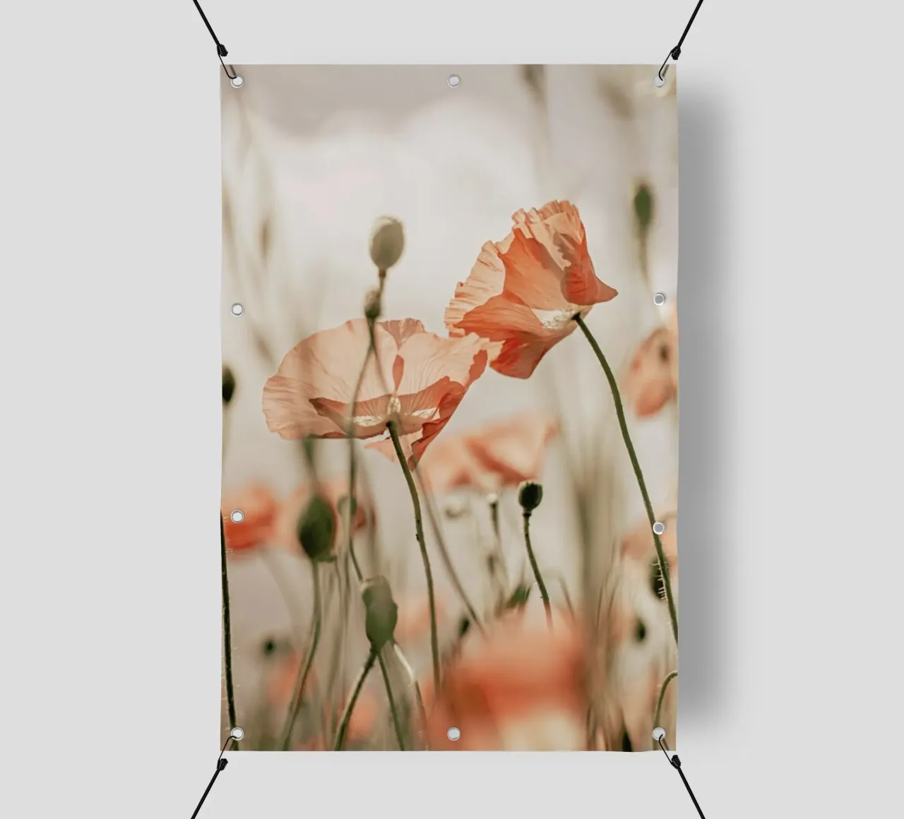 Sunkissed Flowers 1 telo in pvc da Monika Strigel