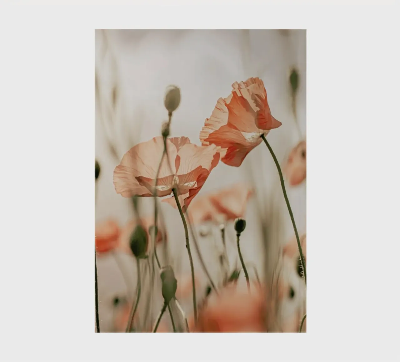 Sunkissed Flowers 1 notebook by Monika Strigel