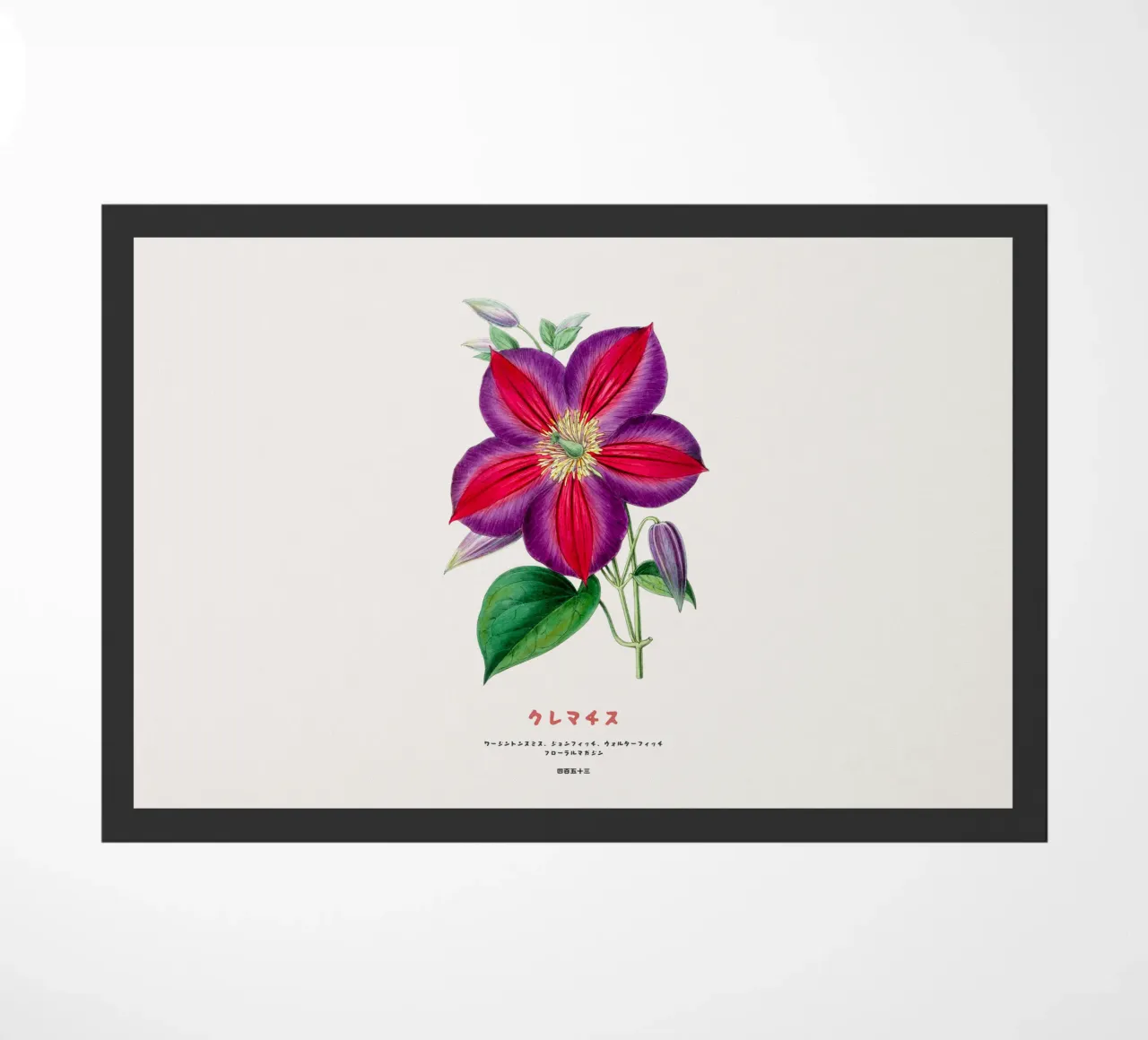 Clematide fiore giapponese zerbino da Vintagrafica