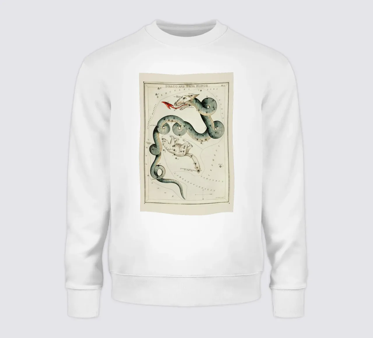 Draco and Ursa Minor felpa da Vintage by JUNIQE
