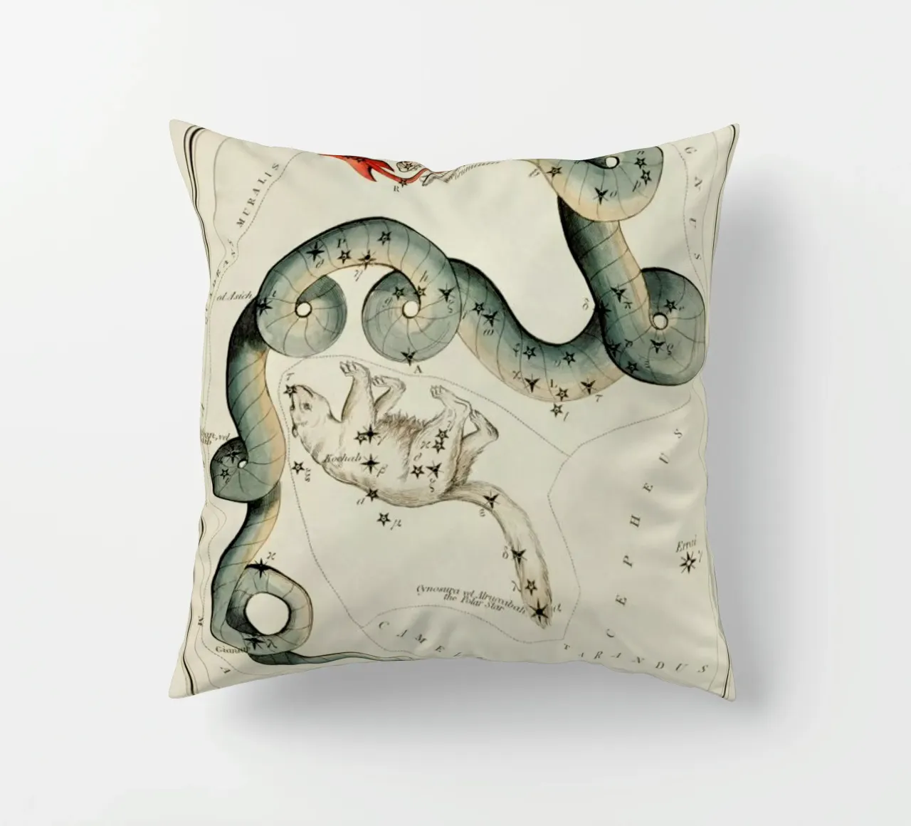 Draco and Ursa Minor cuscino da Vintage by JUNIQE
