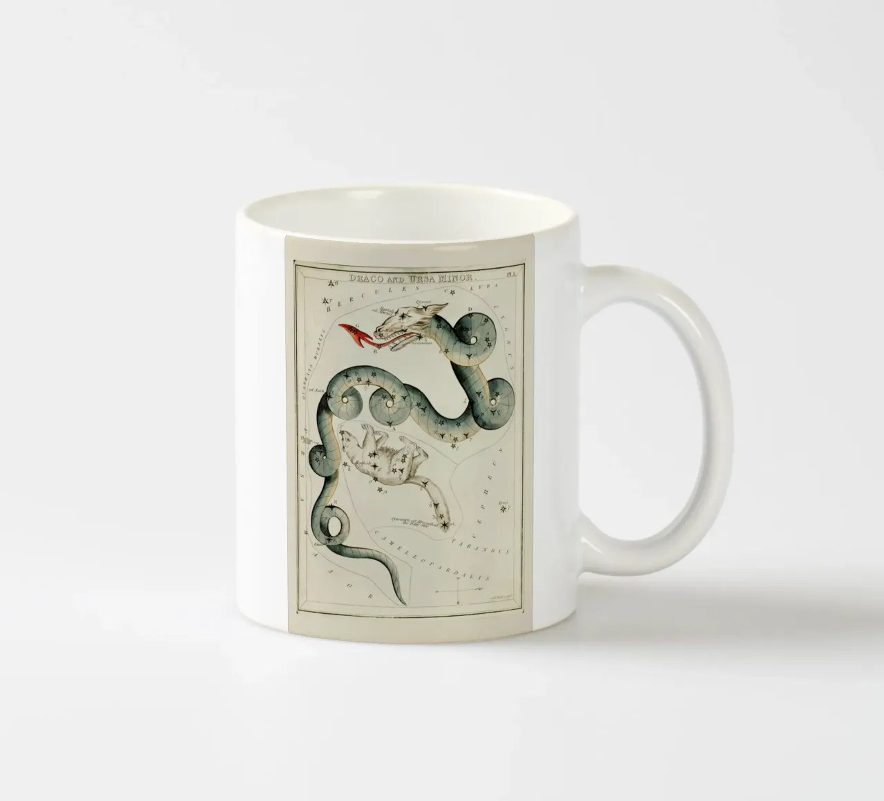Draco and Ursa Minor tazza in ceramica da Vintage by JUNIQE