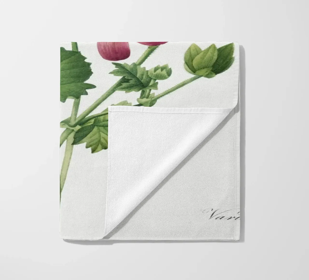Geranio (1827) Henry Joseph Redouté telo mare da Pretty Flowers Vintage Botanicals