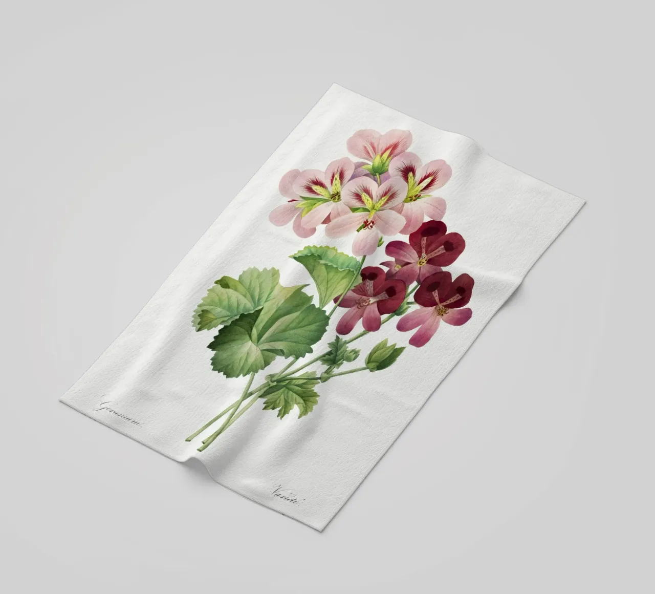 Geranio (1827) Henry Joseph Redouté telo mare da Pretty Flowers Vintage Botanicals
