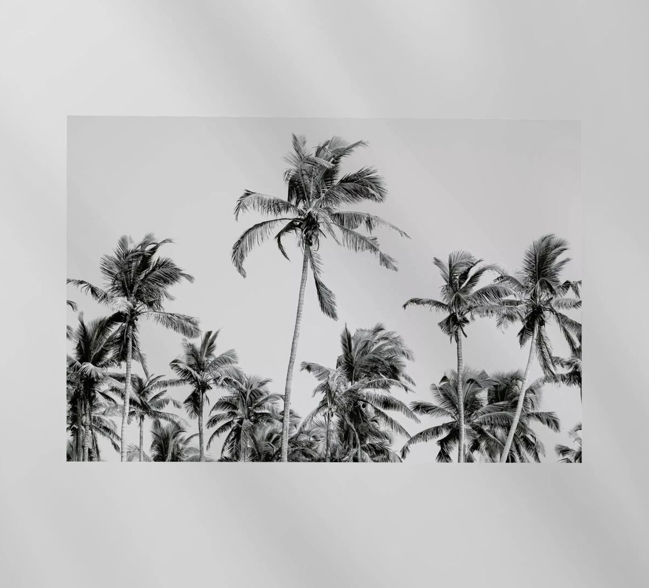 Palm Trees On The Beach 3 pellicola backlit da Victoria Frost
