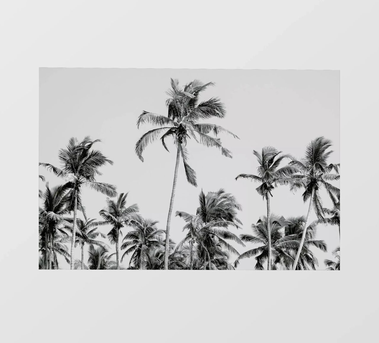 Palm Trees On The Beach 3 pellicola backlit da Victoria Frost