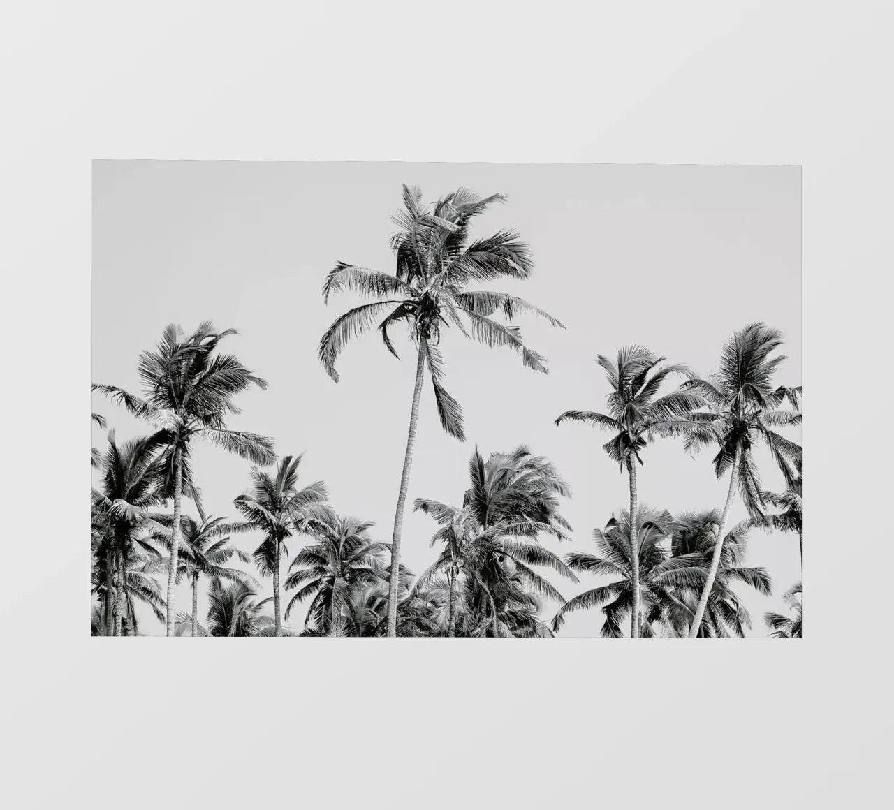 Palm Trees On The Beach 3 pellicola backlit da Victoria Frost