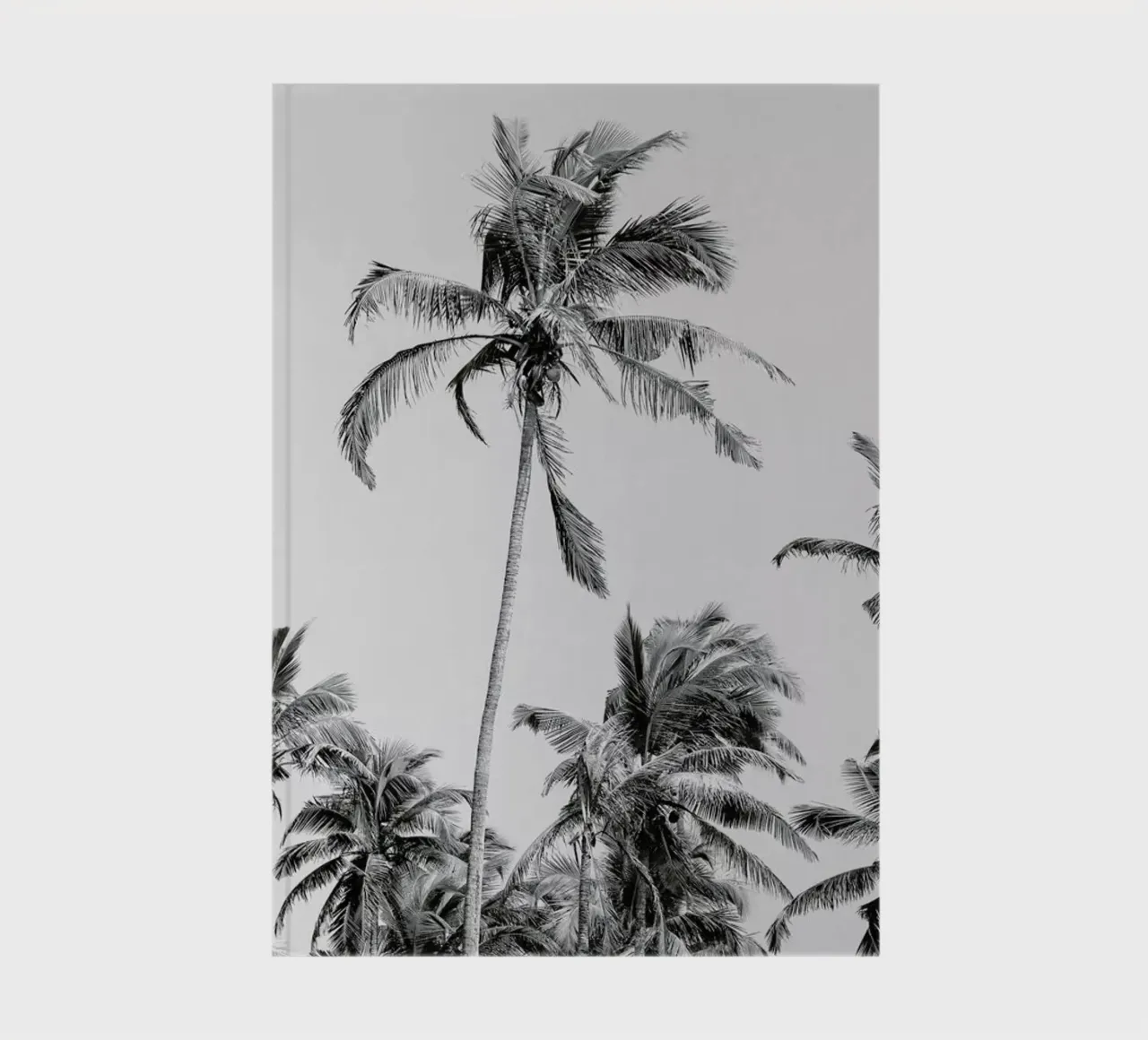 Palm Trees On The Beach 3 notebook by Victoria Frost