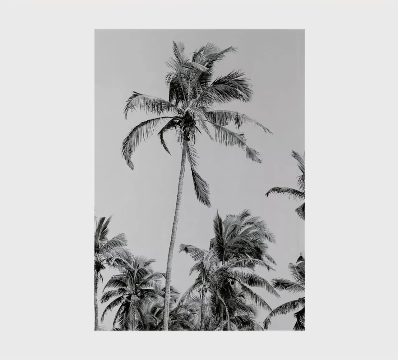 Palm Trees On The Beach 3 notebook by Victoria Frost