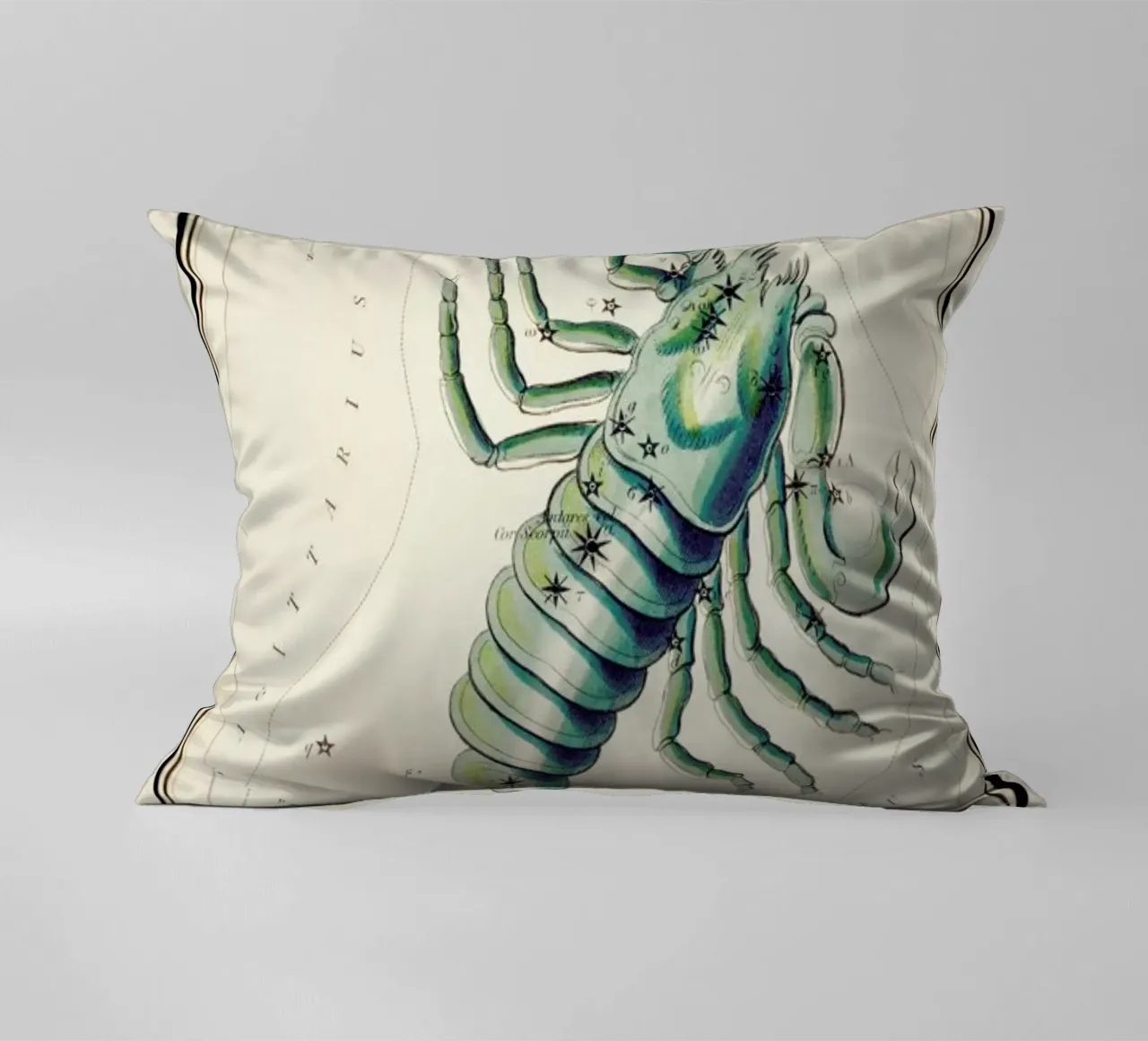 Scorpio cuscino da Vintage by JUNIQE