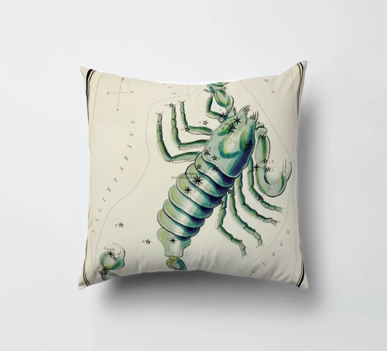 Scorpio cuscino da Vintage by JUNIQE