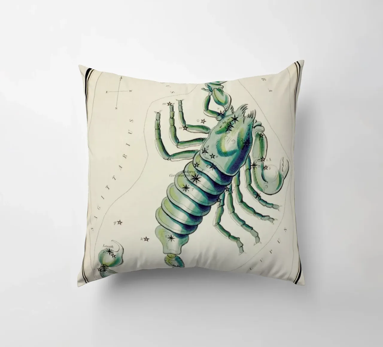Scorpio cuscino da Vintage by JUNIQE