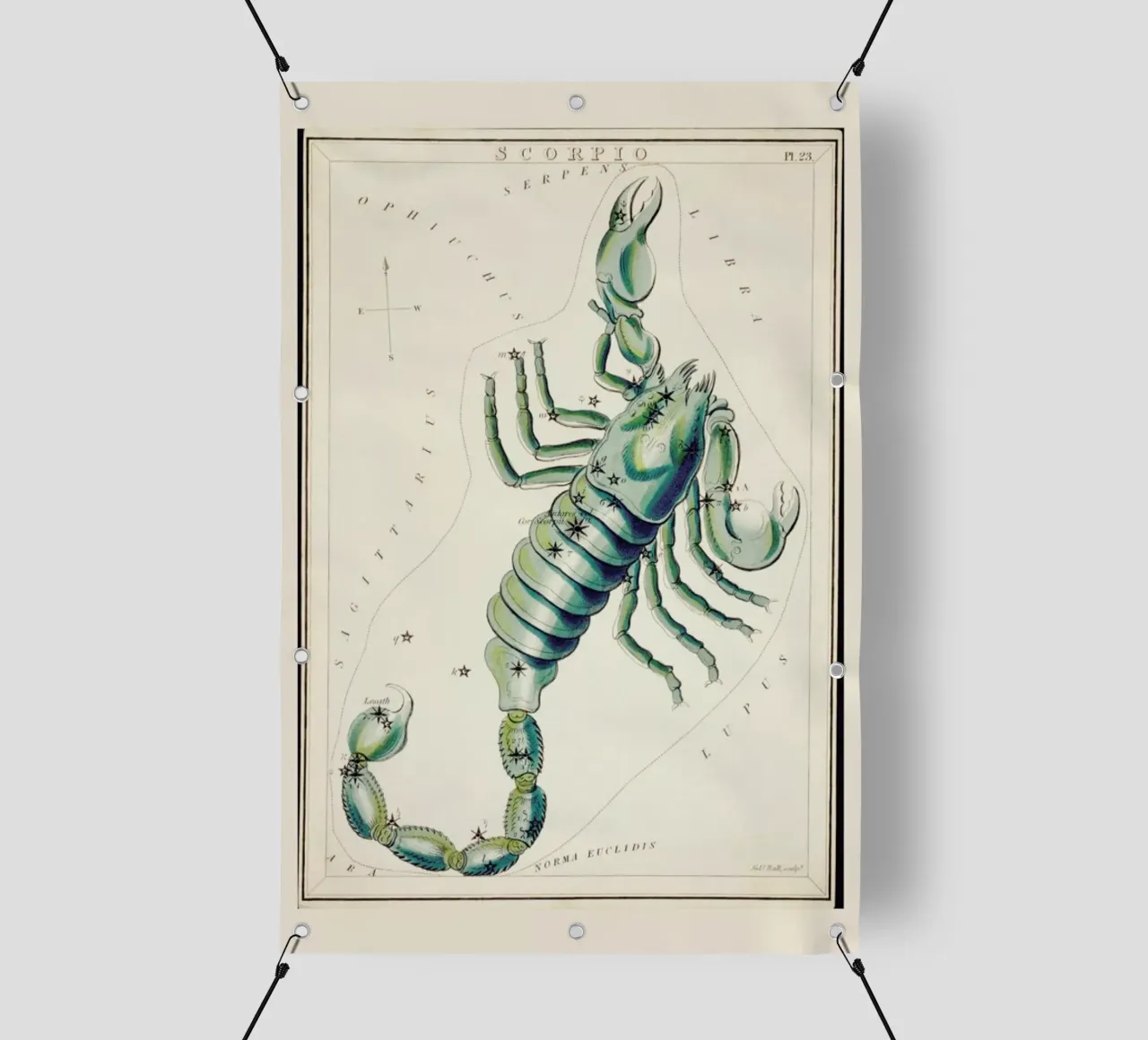 Scorpio telo in pvc da Vintage by JUNIQE