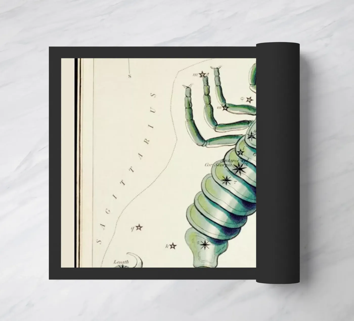 Scorpio doormat by Vintage by JUNIQE