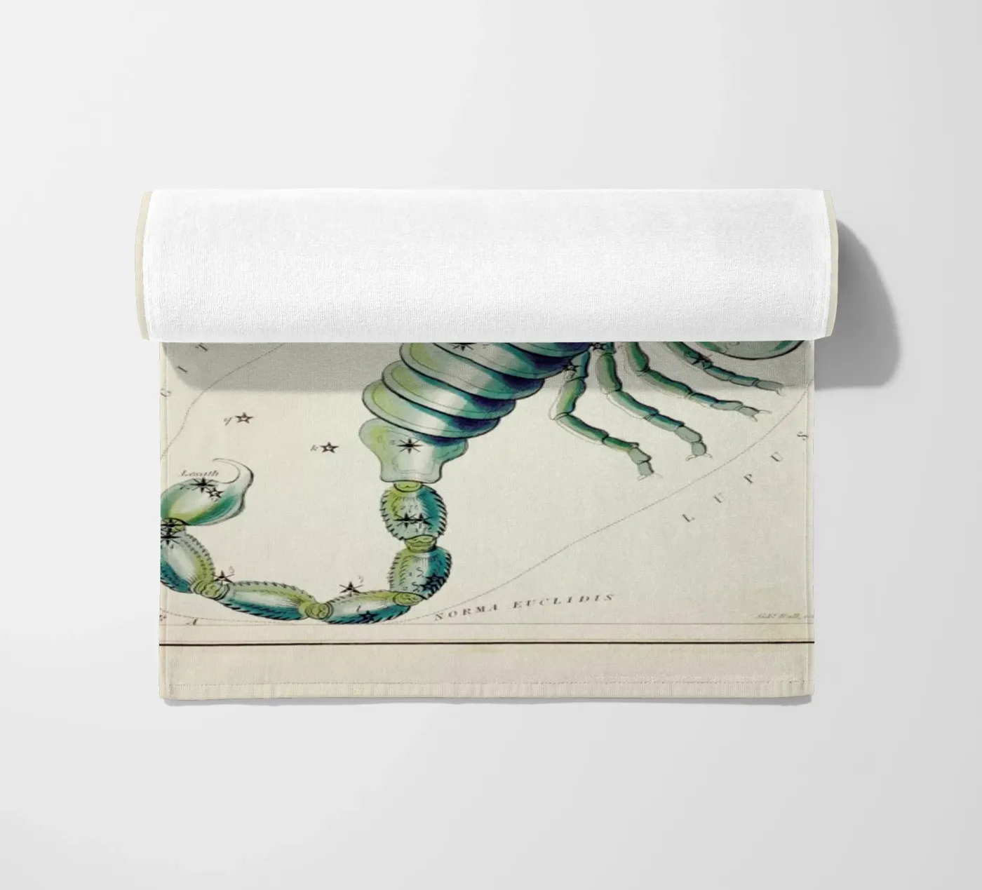 Scorpio telo mare da Vintage by JUNIQE