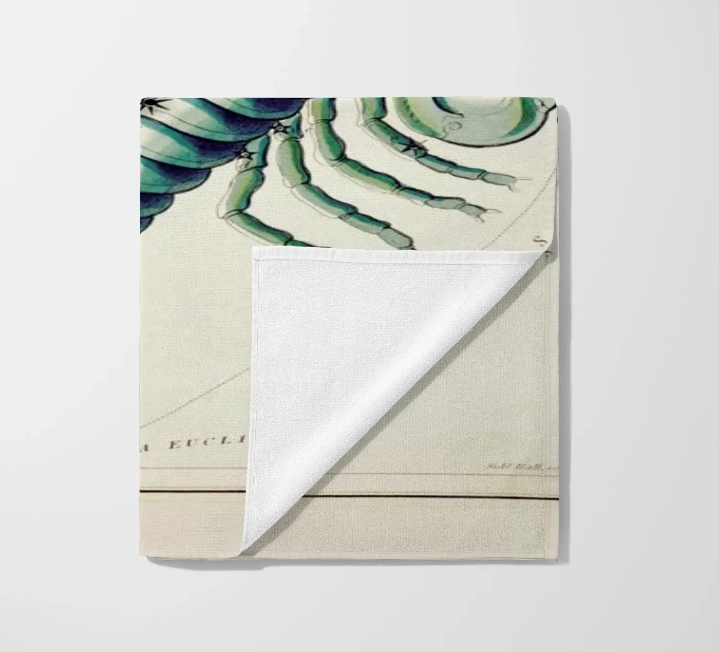 Scorpio telo mare da Vintage by JUNIQE