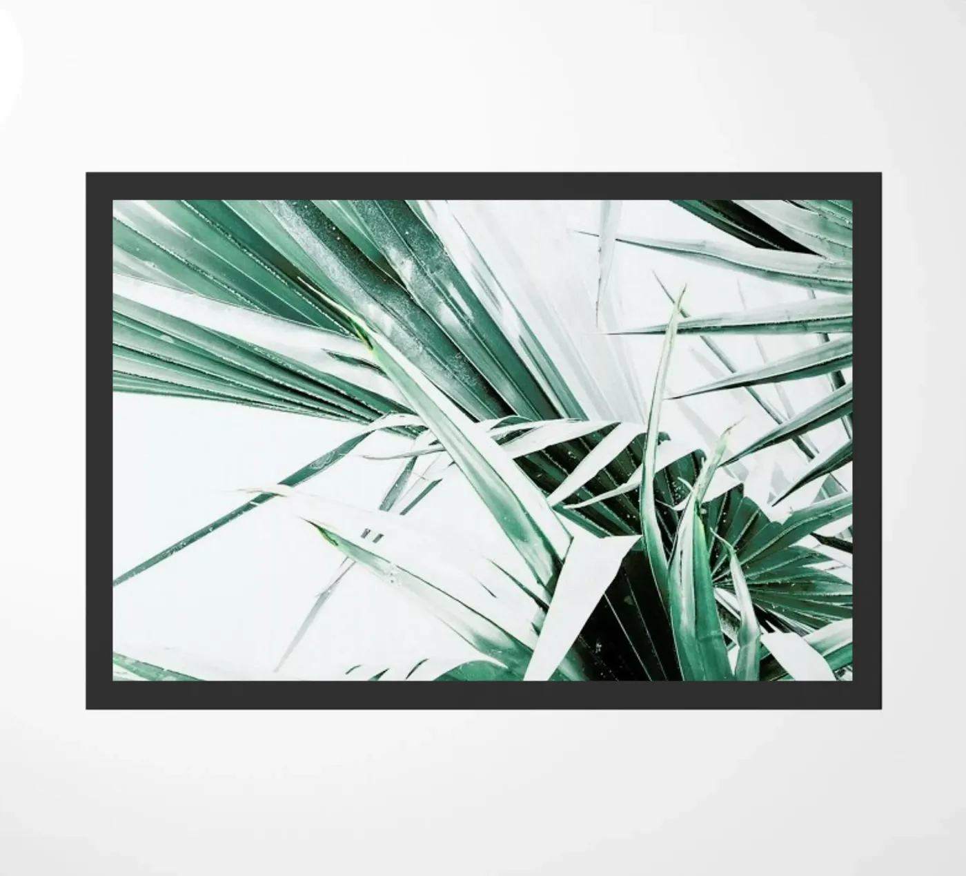 Palm Leaves zerbino da Victoria Frost