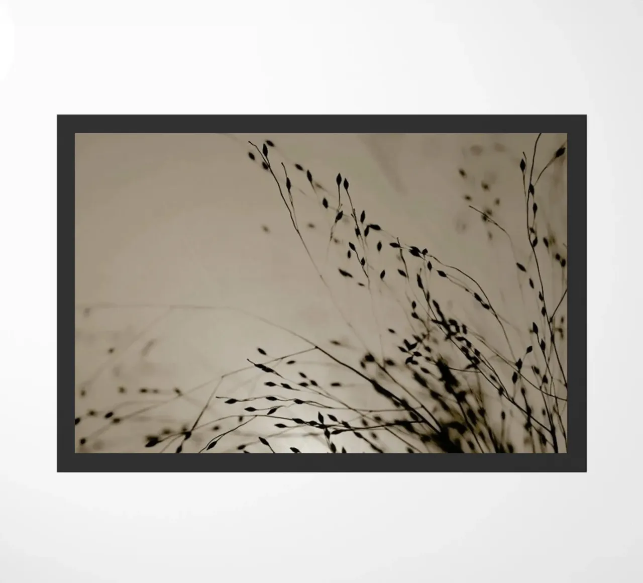 Brown Grass 2 zerbino da Monika Strigel