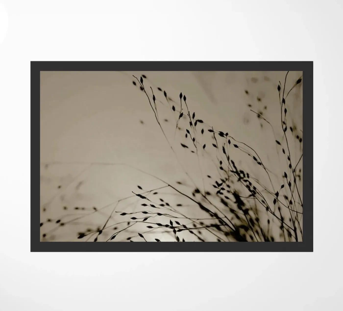 Brown Grass 2 zerbino da Monika Strigel